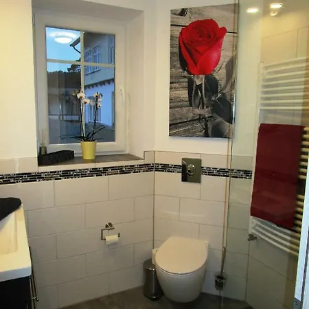 Komfortappartement Homas Appartement Heringsdorf (Usedom)